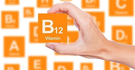 Bitkisel b12 vitamini